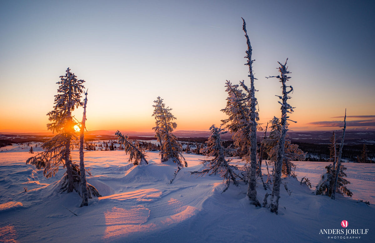 Jämtlands fjällvärld – Fine Art Print 70 × 100 cm av Anders Jorulf