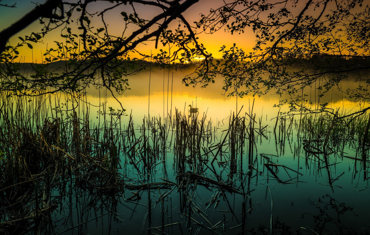 Stockholm, Sweden – Fine Art Print 70 × 100 cm av Anders Jorulf