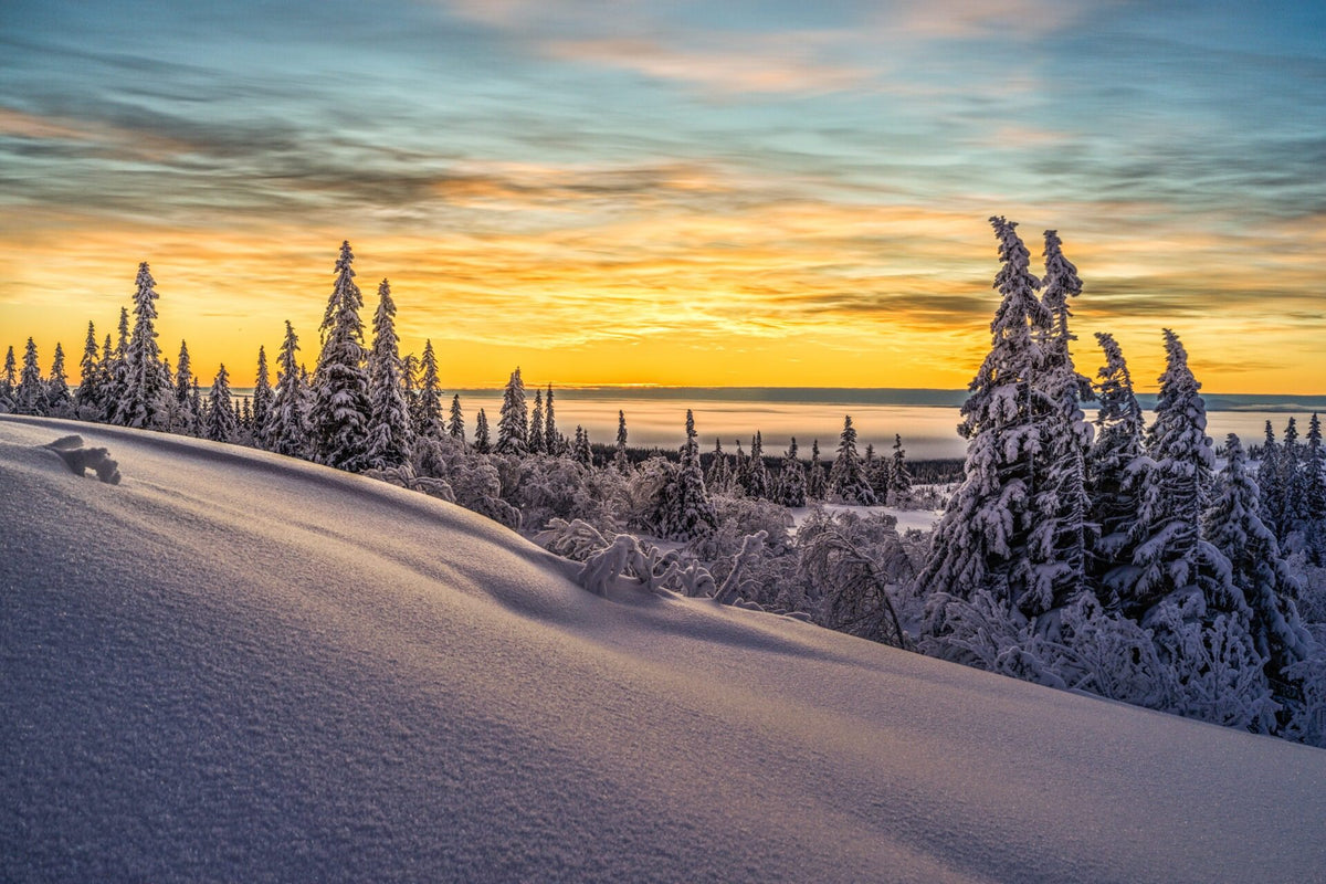 Jämtland, Sweden – Fine Art Print 70 × 100 cm av Anders Jorulf