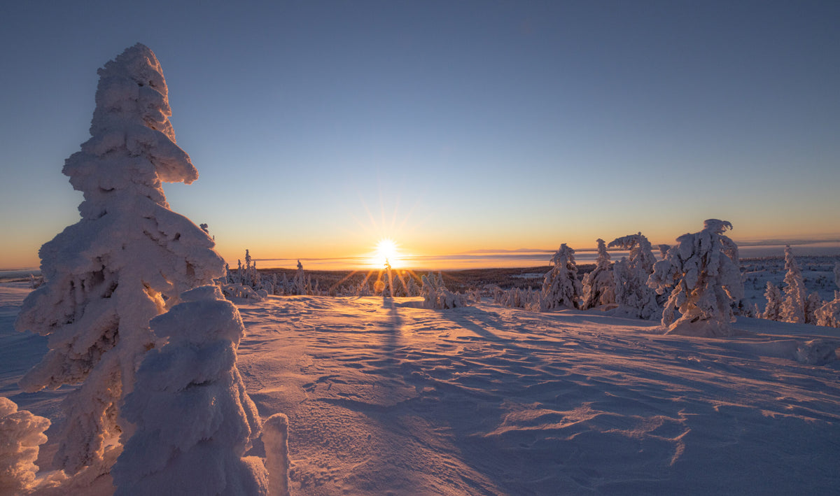 Jämtland, Sweden – Fine Art Print 70 × 100 cm av Anders Jorulf