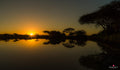 Thanda, South Africa – Fine Art Print 70 × 100 cm av Anders Jorulf